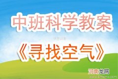 附教学反思 大班科学活动教案：空气教案