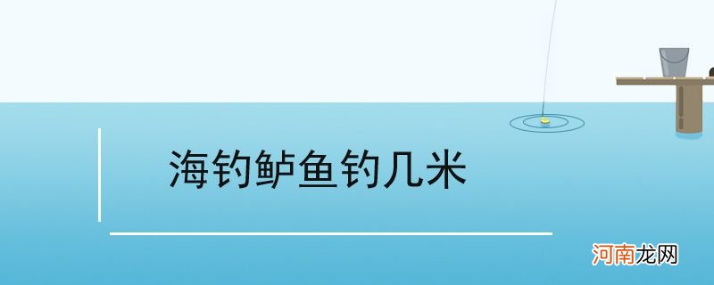 海钓鲈鱼钓几米