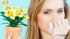 过敏性鼻炎该如何护理
