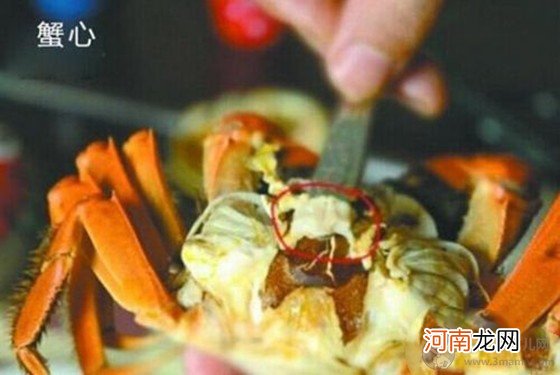 螃蟹哪里不能吃高清图 一分钟看懂如何正确吃螃蟹