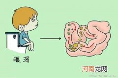 拉肚子期间吃什么对肠胃好