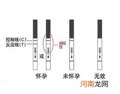 同房后几天能测出来：同房后最快7-10天就能测出来