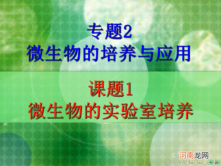 亲子关系专题 培养亲子关系你做对了吗？