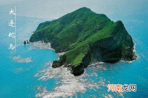 鹿鼎记神龙岛原型，大连蛇岛真的有20000多条毒蛇吗？