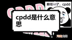 cpdd是什么意思