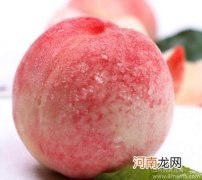 孕妇过量食用桃子可致流产
