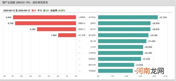 鸡价大跌 雏鸡价近乎腰斩！原来也是猪肉惹的祸？