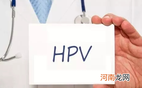 每个男性都携带hpv吗