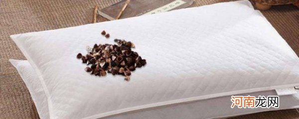 蚕沙枕的功效和作用 蚕沙枕对身体的好处有哪些