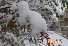 内蒙古雪后什么时候可以通车11月份