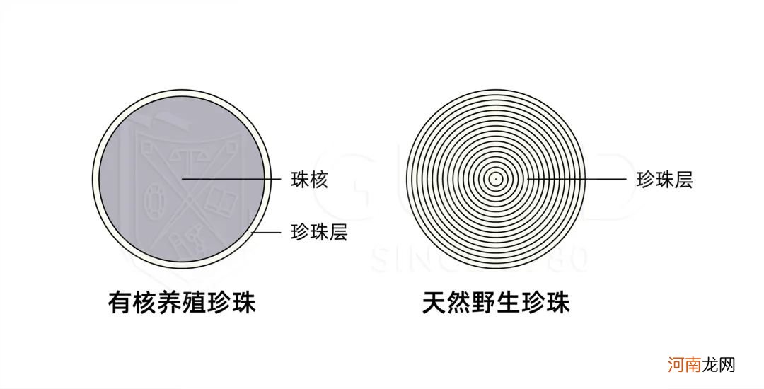 珍珠鉴定与分级标准 大溪地珍珠和akoya哪个好