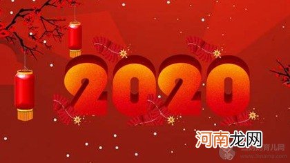 2020年元旦1月1日出生的猪宝宝小名乳名大全可爱名字！