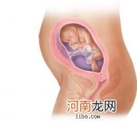 怀孕生产过程
