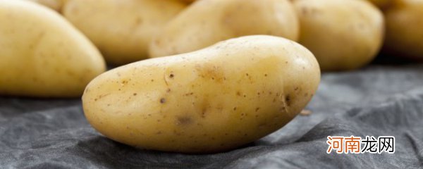 芋头和土豆的区别 如何区别芋头和土豆