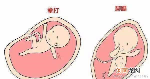 胎动频繁是什么样的
