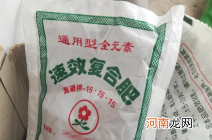 买花送的肥料可以用吗