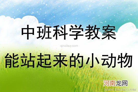 附教学反思 中班科学活动教案：糖怎么不见了教案