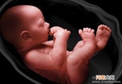 怀孕73天胎儿有胎动吗