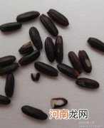 黑米食用小贴士.