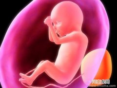 什么是胎儿双顶径