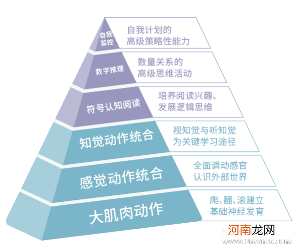 什么是关键期教养——怎样理解重点发展能力？