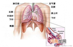 急性支气管炎的症状表现