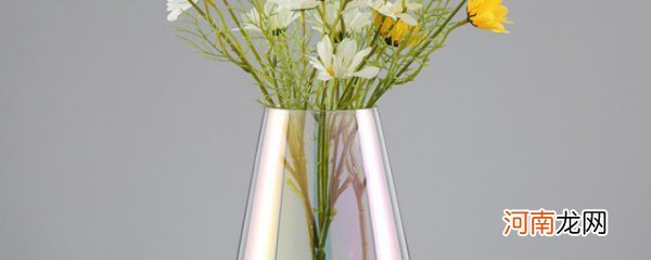 花瓶的寓意和象征 关于花瓶的寓意介绍
