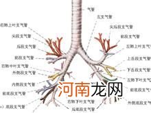 造成小儿支气管炎的症状是什么