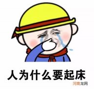 纯正冷笑话,活跃下思维