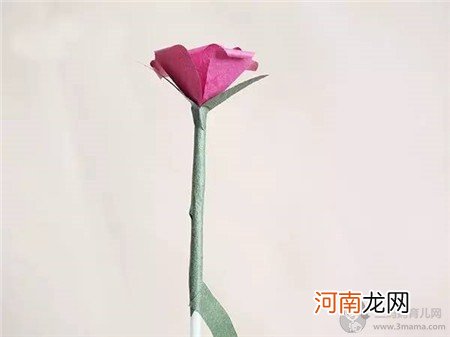 简单玫瑰花制作方法