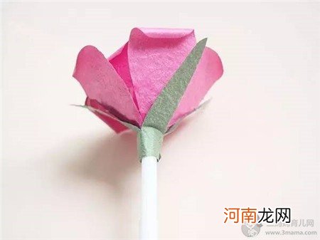 简单玫瑰花制作方法