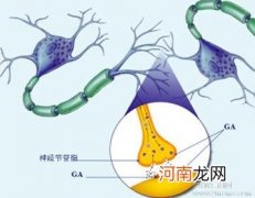 GA 什么是神经节苷脂？（图）