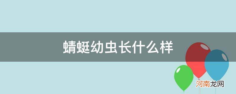 蜻蜓幼虫长什么样图片 蜻蜓幼虫长什么样