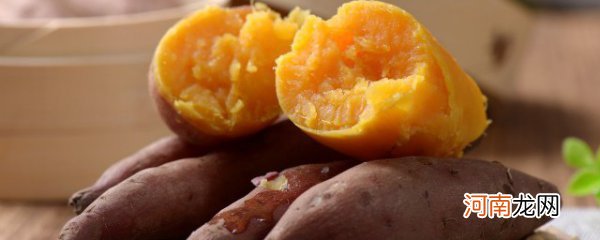 红薯和番薯的区别 番薯的相关介绍