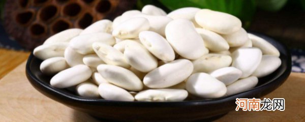大白豆的功效与作用 大白豆的功效与作用介绍