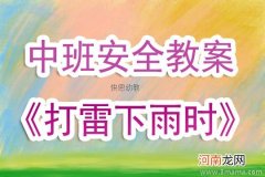 中班安全肠胃小闹钟教案反思