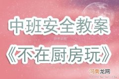 中班主题厨房里教案反思