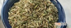 茴香籽的功效与作用及食用方法 茴香籽的功效与作用和食用方法