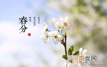 2020年属鼠春分节气出生女孩五行缺金取名大全