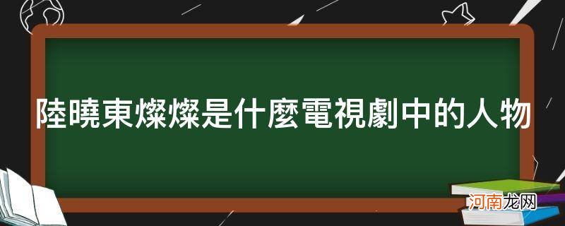 陆晓东灿灿是什么电视剧中的人物