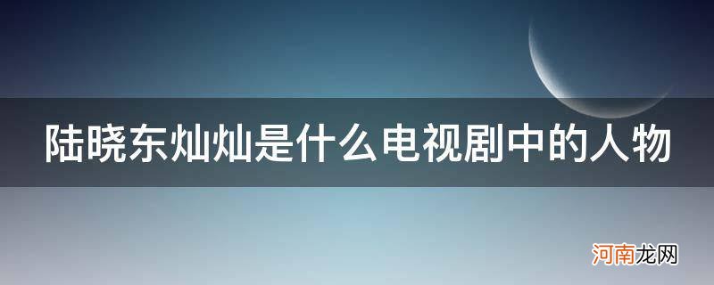 陆晓东灿灿是什么电视剧中的人物