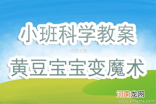 大班科学会变的黄豆教案反思