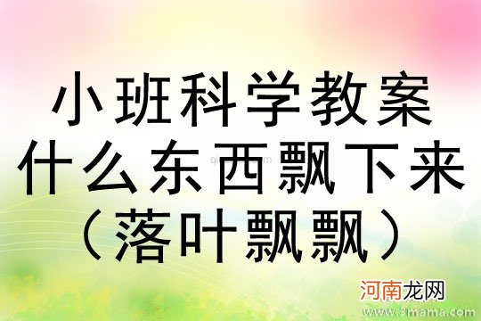 附教学反思 中班科学活动教案：落叶教案