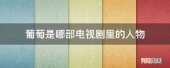 剧中有葡萄这个人物是什么电视剧 葡萄是哪部电视剧里的人物