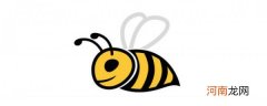 咸竹蜂的功效与作用 咸竹蜂有什么功效与作用