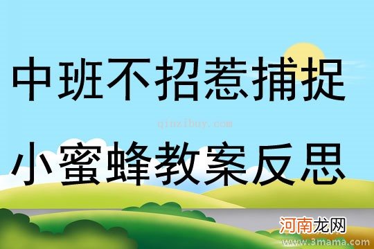 附教学反思 中班主题活动教案：勤劳的小蜜蜂教案