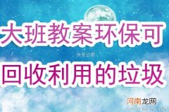 附教学反思 大班社会活动教案：可回收利用的垃圾教案