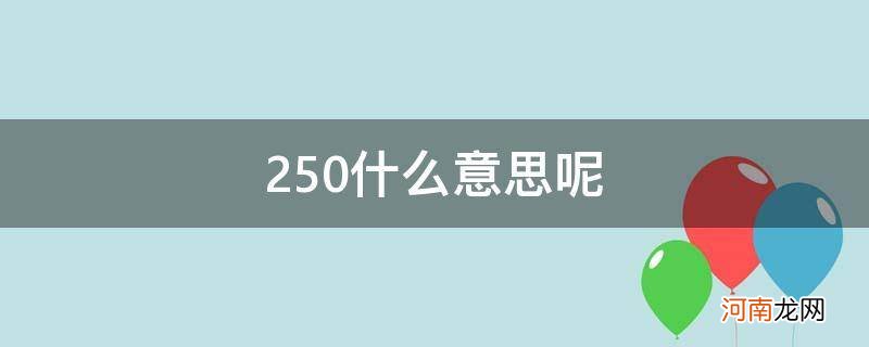 250什么意思呢