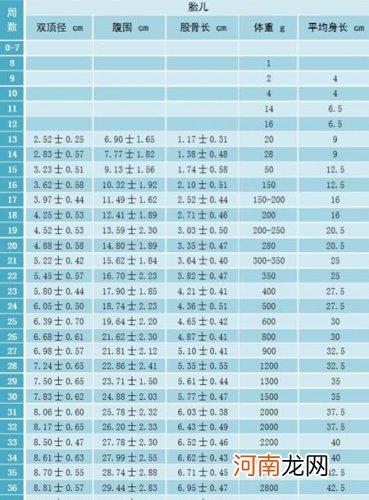 胎儿发育标准是怎样的 胎儿发育标准知识