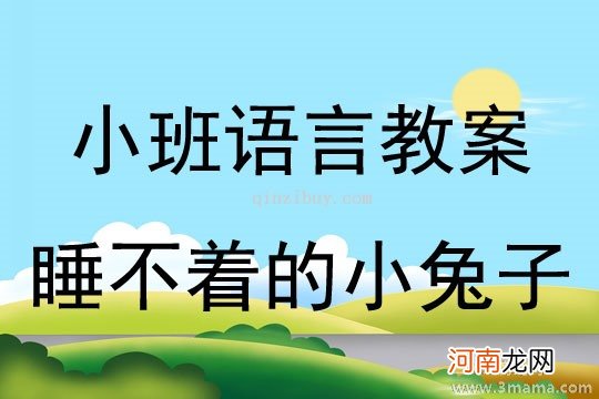 中班语言聪明的小兔子教案反思